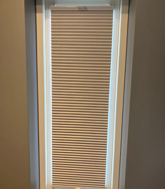 Plisseroyal1